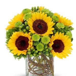 Sunflower Surprise