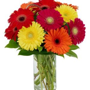 Bouquet of colorful gerberas daisies