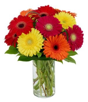 Bouquet of colorful gerberas daisies