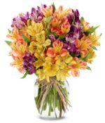 Bouquet of colorful Peruvian lilies
