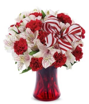 Peppermint in Red Vase