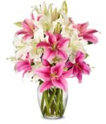Lilies in Pink and White