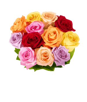 One Dozen Birthday Rainbow Roses