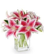 Bouquet of stargazer Asiatic lilies - Local Florist