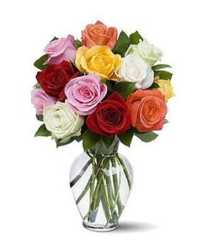 Mixed Colorful Roses