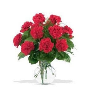 Full of Red Carnations