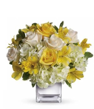 Yellow roses, crème roses and other favorites in a sleek silver cube vase