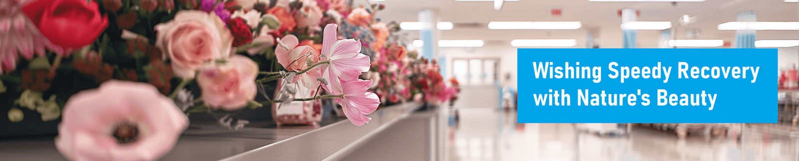 Cheerful bouquet of get well soon flowers, bringing warmth and comfort during recovery.