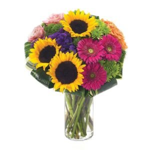 Bountiful Impressions