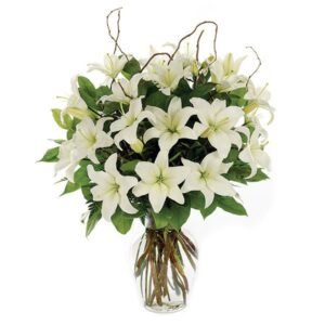 Loving Lilies - White
